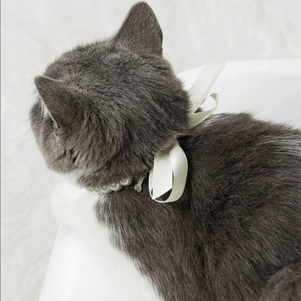 Rhinestone Decor Pet Necklace 🐈